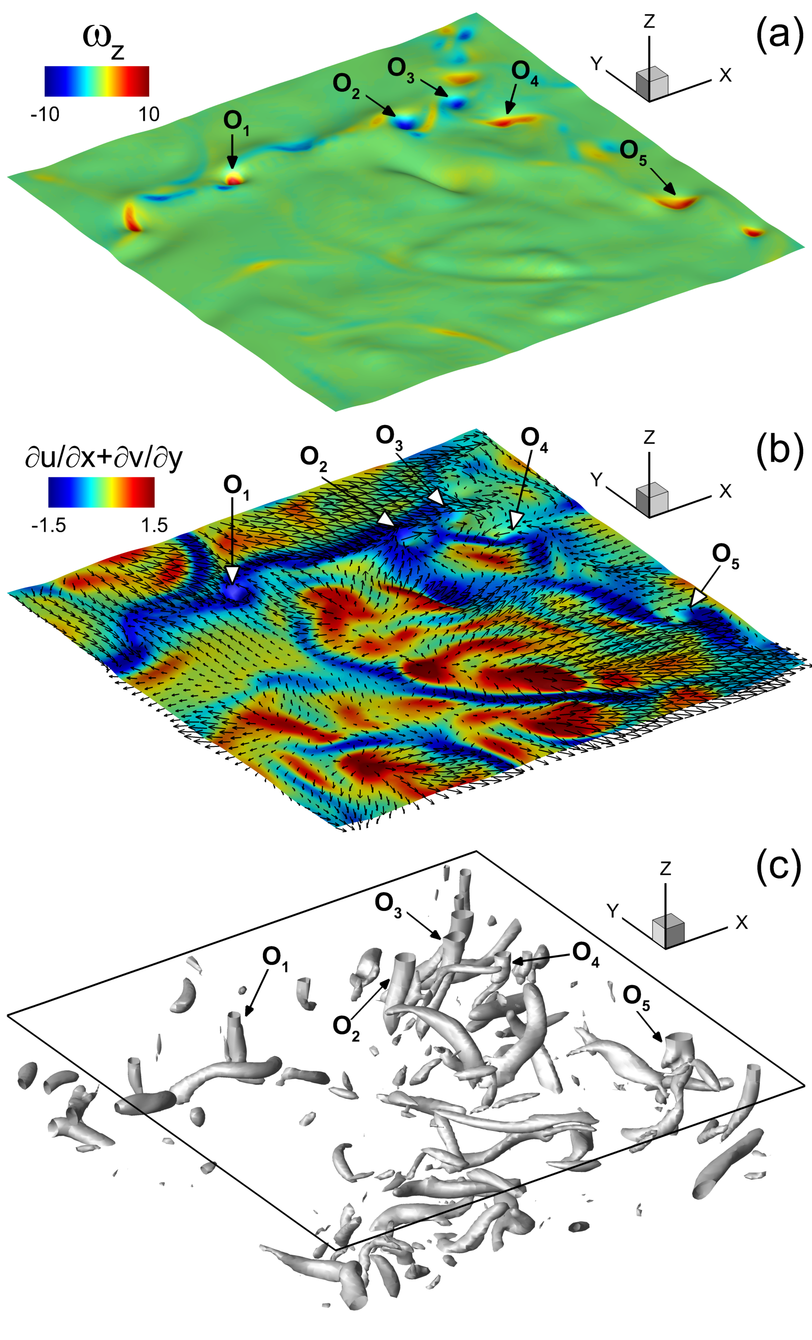Surface deformation generated by complex vortical structures in the turbulence underneath the surface.  The surface-connected vortices O_1 to O_5 are indicated.  Contours of the vertical vorticity omega_z and the surface divergence du/dx+dv/dy are plotted in (a) and (b), respectively.  In (b), the velocity vectors (u,v) are also plotted for every four grid points.  In (c), the vortices are represented by the lambda_2 method.